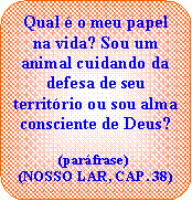 Fluxograma: Processo alternativo: Qual  o meu papel na vida? Sou um animal cuidando da defesa de seu territrio ou sou alma consciente de Deus? (parfrase) (NOSSO LAR, CAP. 38)